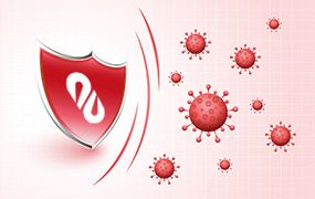 الإجراءات خلال كوفيد 19